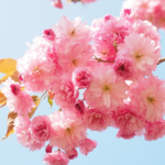 Thumbnail of post image 143